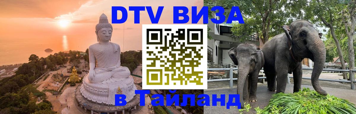 Оформление DTV визы под ключ: стоимость и тарифы, только загранпаспорт - 